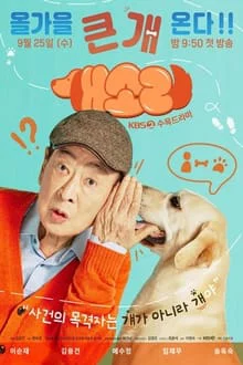 Chú Chó Biết Tuốt - Dog Knows Everything (2024) Chú Chó Biết Tuốt - Dog Knows Everything (2024)