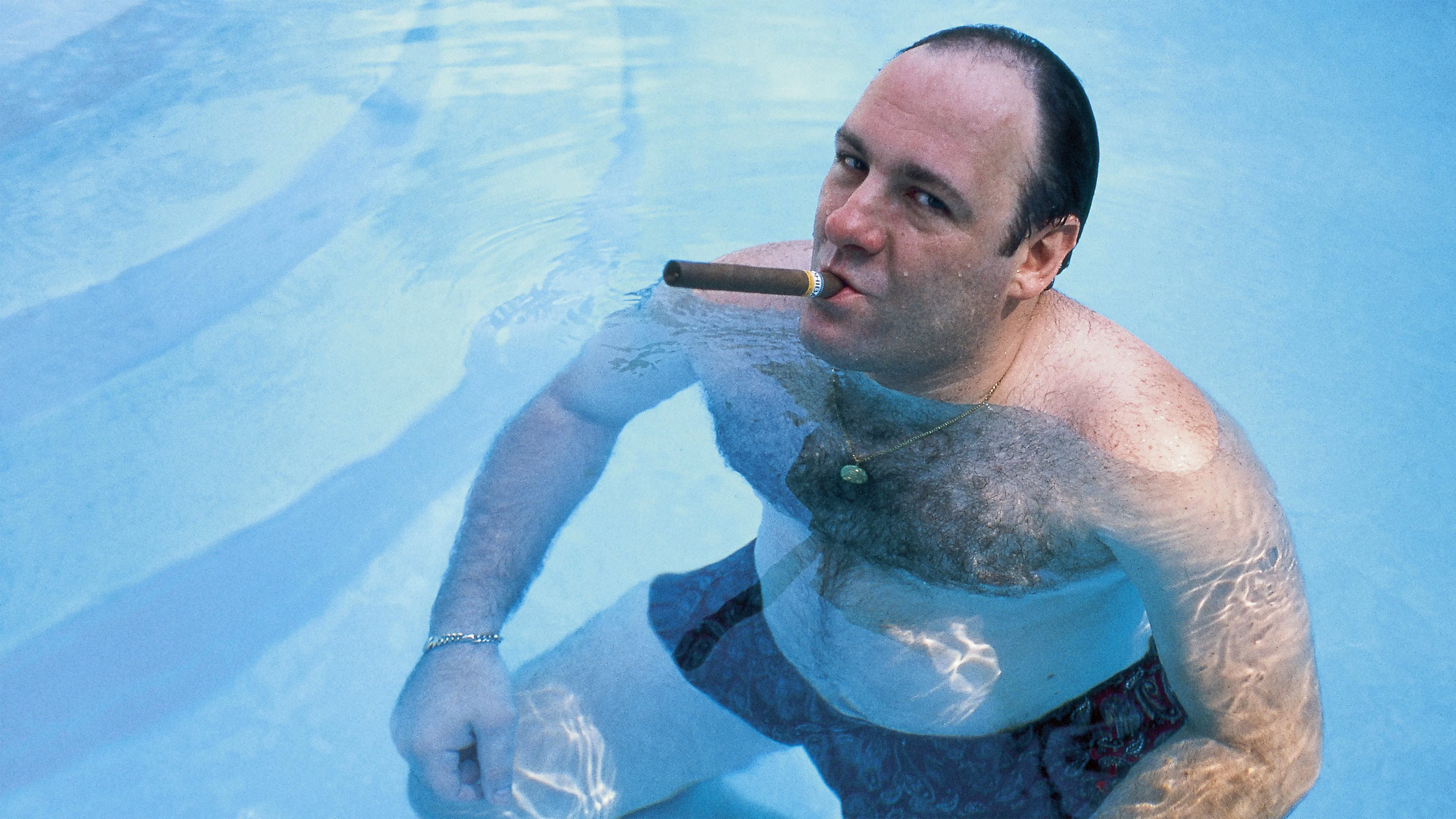 Gã Hợm Hĩnh David Chase Và Gia Đình Soprano - Wise Guy: David Chase and The Sopranos