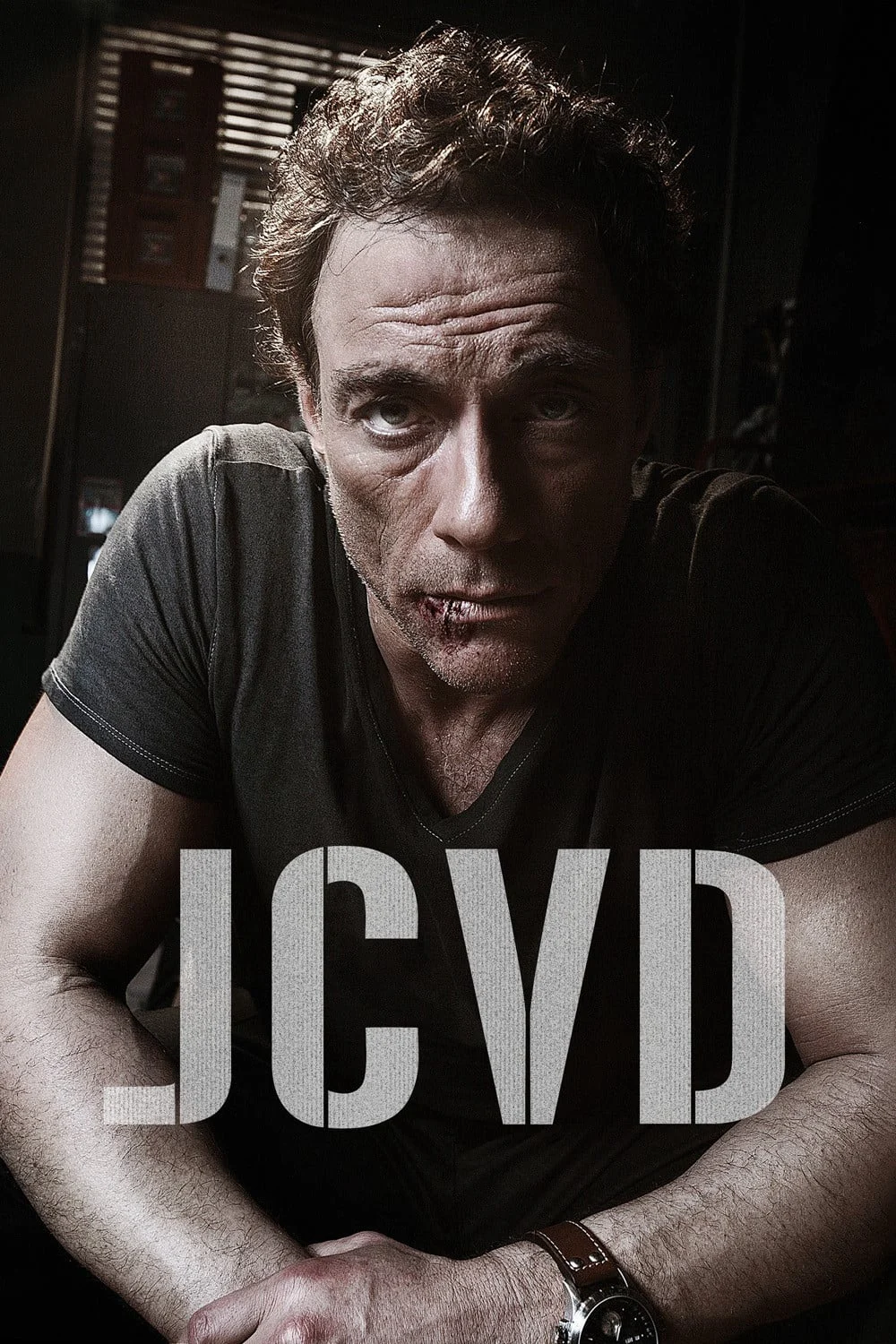 Người Hùng Trở Lại - JCVD (2008) Người Hùng Trở Lại - JCVD (2008)
